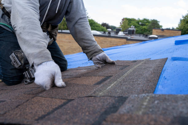 Quick and Trustworthy Emergency Roof Repair Services in Belgrade, MT